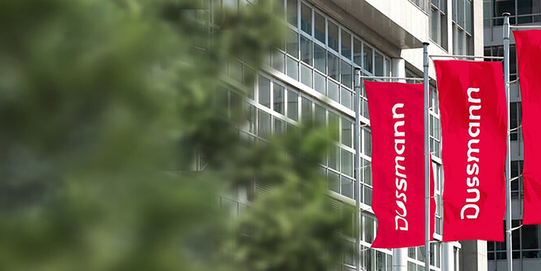 Floating Dussmann flags, representing the brand's international presence and commitment to different countries and services.